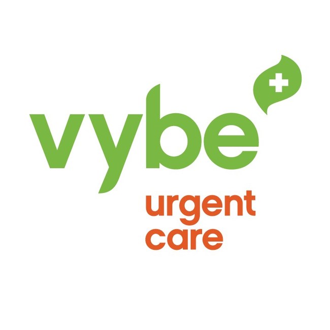 vybe logo